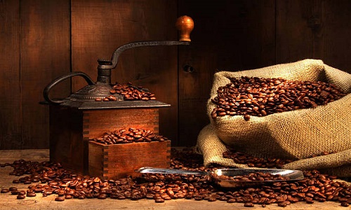 咖啡豆进口报关
