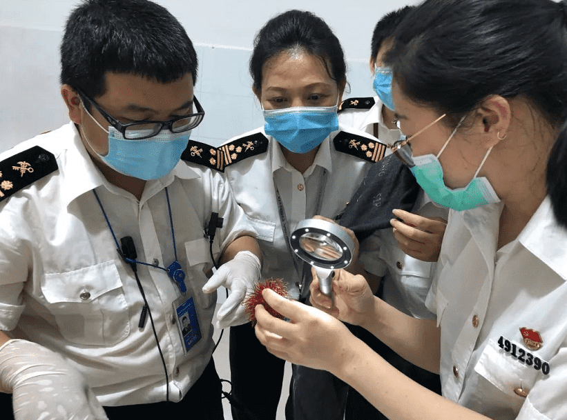 广州报关公司