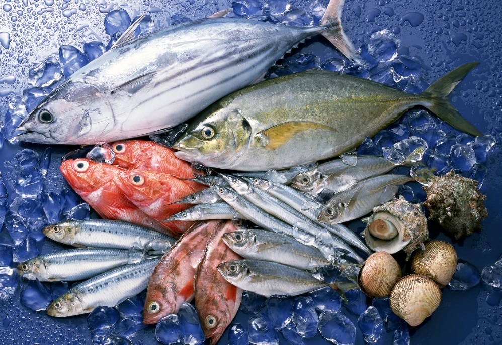 海鲜进口报关